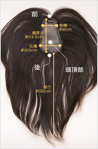 TP100R-MONOのサイズ画像