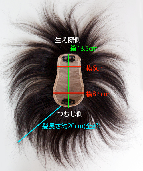 TP100Bのサイズ画像